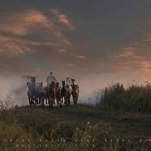 上海美友会奉贤军马场之行