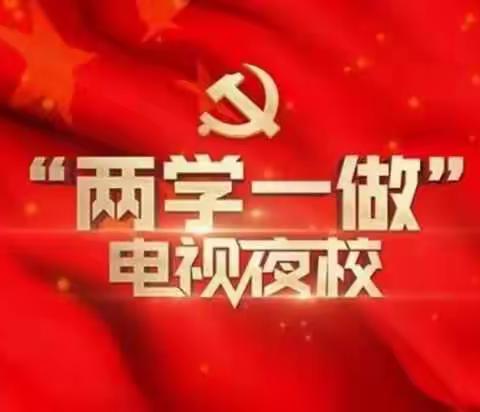 海南省《“两学一做”电视夜校》第三期将于10月26日晚20时开播，洋浦二小支部全体党员认真观看