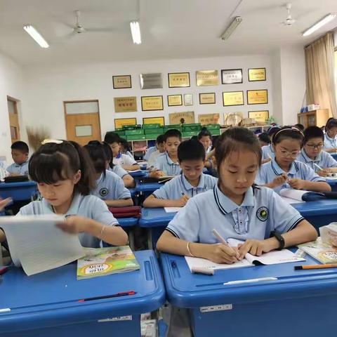 四年级语文组汉字书写大赛