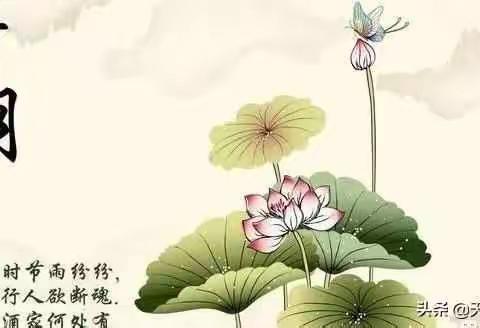 二年级一班清明活动