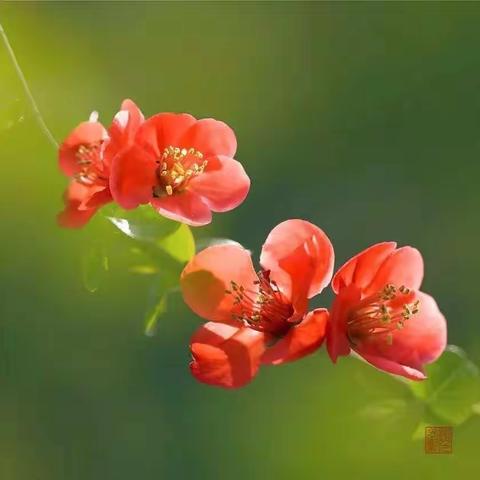 悦读好声音