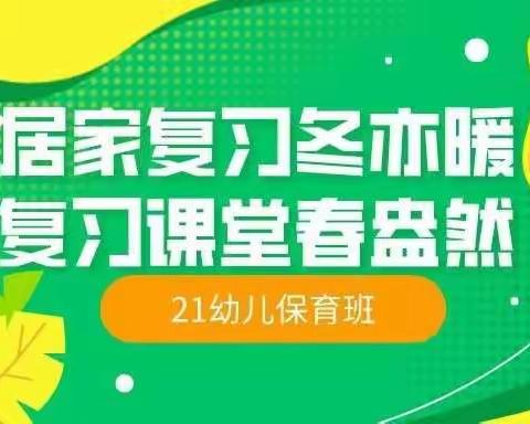 居家复习冬亦暖 复习课堂春盎然——21幼儿保育班1月3日网课汇报