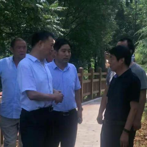 县长陈旭辉来向阳村指导美丽乡村工作