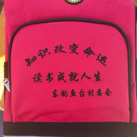 “用爱温暖六一”东台村委会为东台小学所有学生发放六一儿童节礼物——东台小学