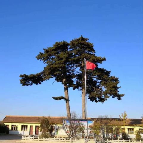 天寒地寒雪花飞    人暖心暖情更浓 渭源县会川幼儿园集团办园“送教下乡”活动