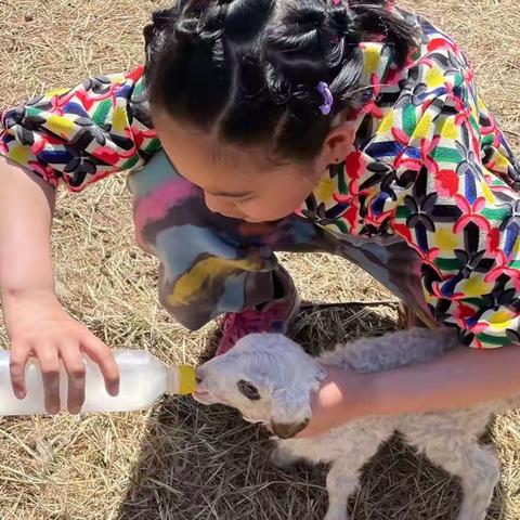 喜迎二十大，童心庆五一——陈旗第二小学五一劳动节主题活动纪实