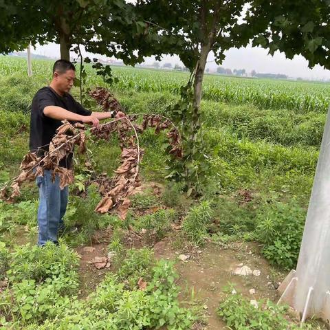 邯山区交运局地方站精细化开展农村公路养护工作