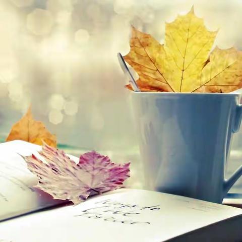 时光不息，成长不止——阳信县实验中学青年教师读书练字第十九期活动纪实