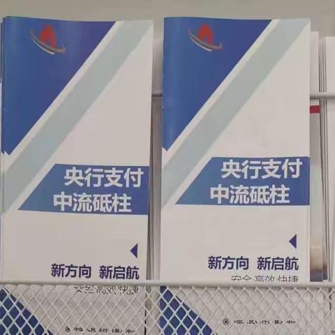 工商银行西安分行阎良支行开展“央行支付  服务千家万户”活动