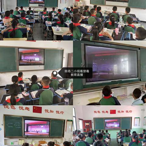 禁毒反诈安全教育第一课