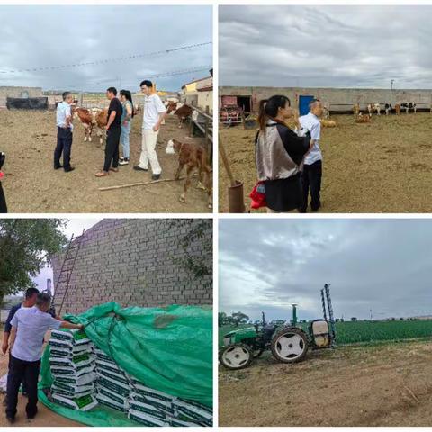 乌兰察布察右后旗支行持续推进“兴农贷”业务