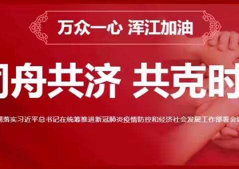 浑江区阳光小学“停课不停学”美术教学工作回顾