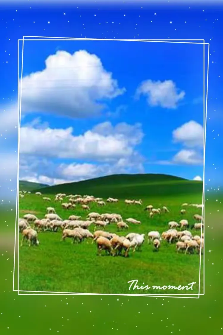 七月的草原......