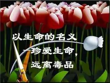 小精灵幼儿园禁毒安全课《以生命的名义——珍爱生命 拒绝毒品》
