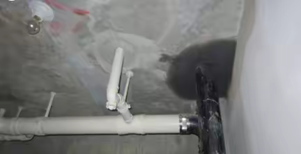 室内漏水怎么处理，室内漏水怎么检测?