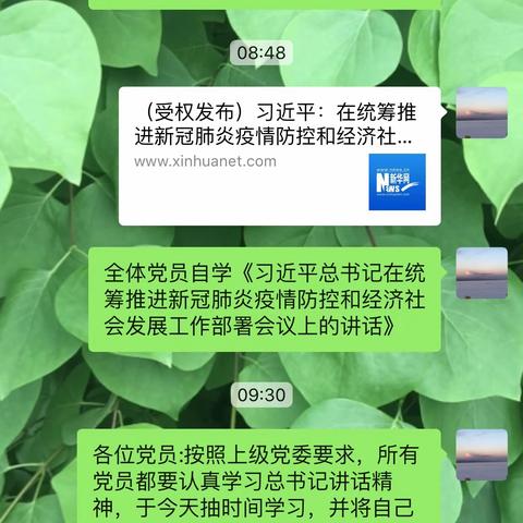 国金三分司党支部学习贯彻《习近平总书记在统筹推进新冠肺炎疫情防控和经济社会发展工作部署会议上的讲话》简报