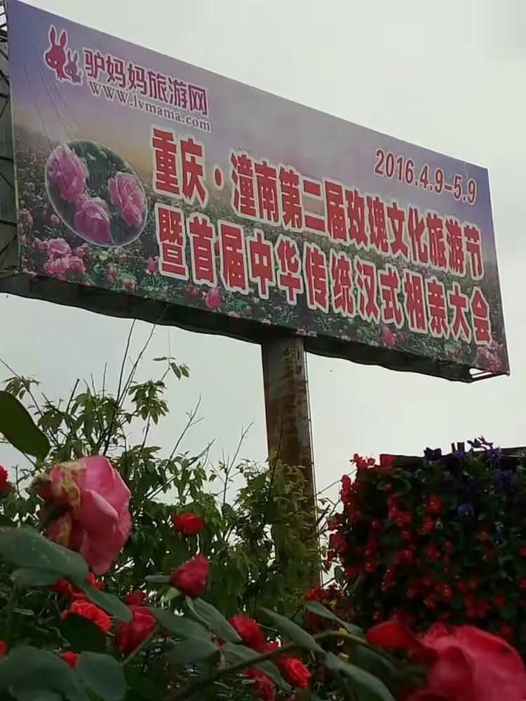 潼南玫瑰园,中国的观光旅游,生态产业,交友相亲,百花之都,玫瑰文化