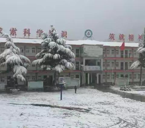 瑞雪纷飞思往昔——2019年个人总结