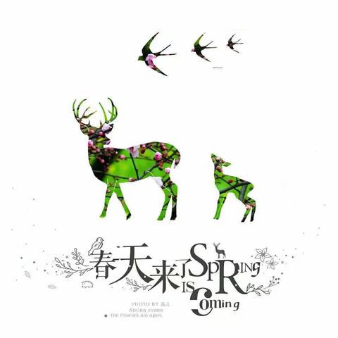 春天来了 开工啦