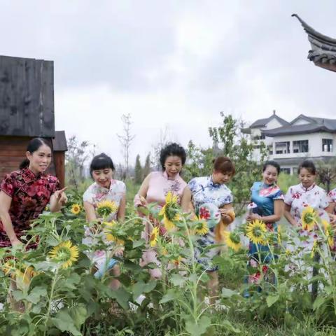 江南情·女人花·醉美拉丁