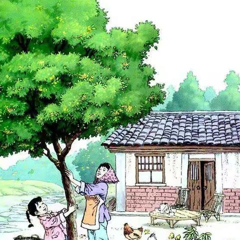 《摇花乐》实践活动——留住乡愁