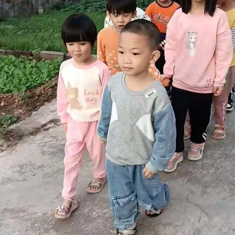 桥南实验幼儿园大大班第十六周的活动剪影