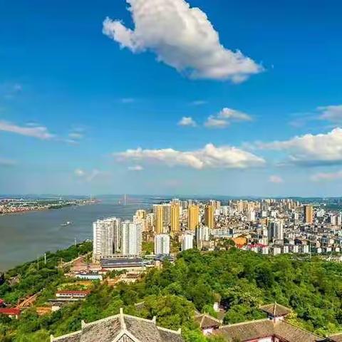 苦学数学6年，不如牢记这20张图片！