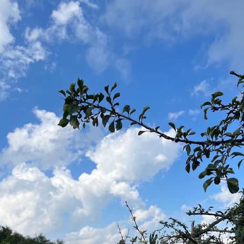 好的生活习惯，可以培养人有良好的心性！