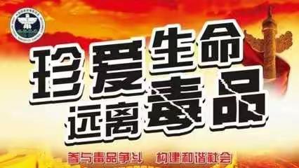 土溪镇村（居）民委员会换届选举和禁毒宣传“两不误”