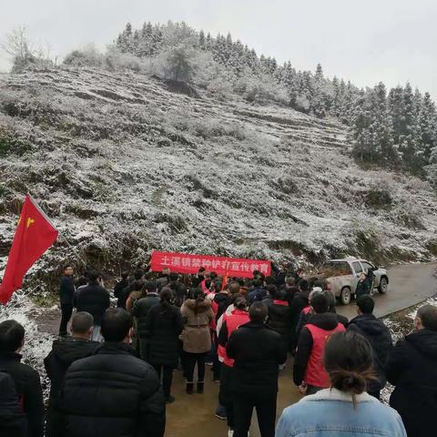 植树造林青山绿，禁种铲毒人民赞