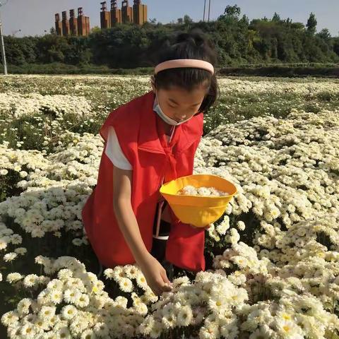 传承中华灿烂文化 体验民间传统工艺 ——井陉矿区天护小学秋季研学活动