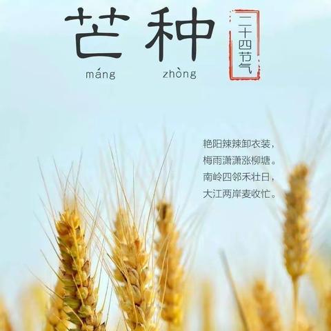 芒种芒种🌾🌾幸福播种 —— 东胜利幼儿园芒种主题系列活动