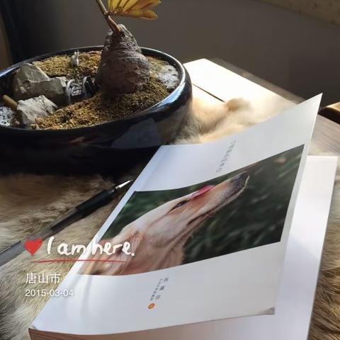 相伴墨香，不负青春——曹妃甸区第二实验小学教师寒假读书活动总结之三