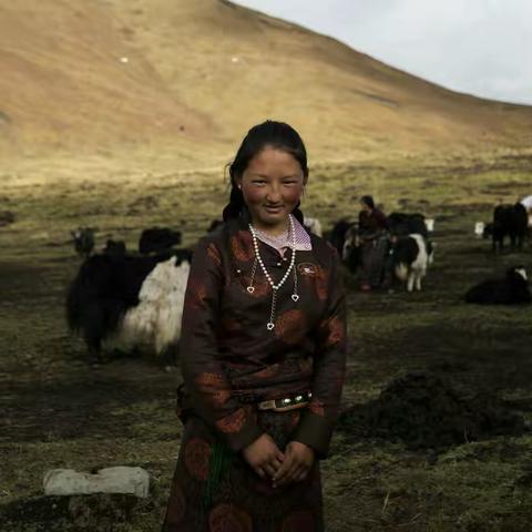 甘南的女人 ～余辉