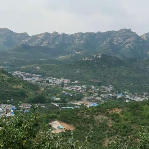 北方景色美