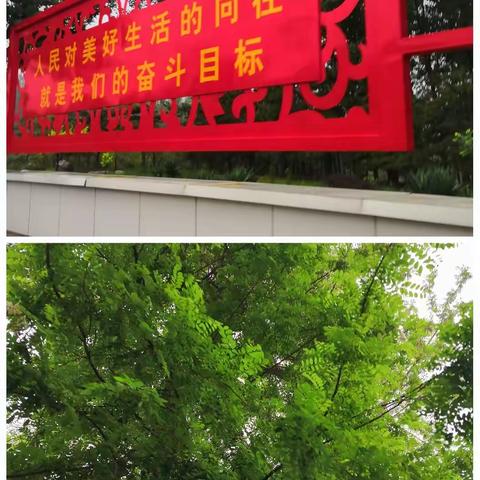 临漳县自然资源和规划局掀起林业工作新高潮