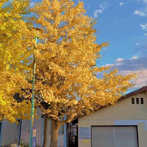 点滴成长，一步一个脚印