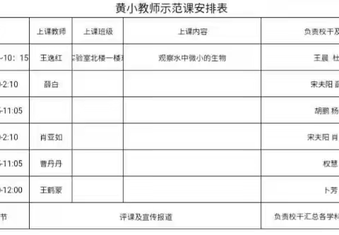 妙趣横生在课堂，专心致志齐飞翔——黄集实验小学骨干教师样板课