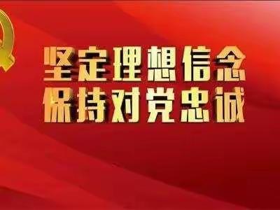 【三中的中国红】主题党日活动