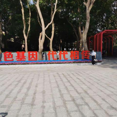 2022年的这个夏天一一暑假