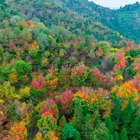 秋景引闲步，山游不知疲—木洞中学初三年级教师工会活动