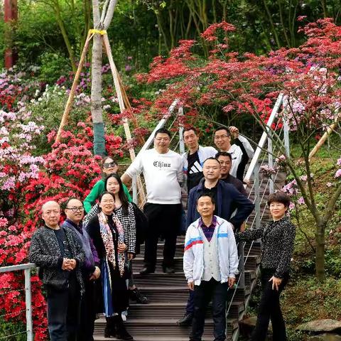 人间春色芬芳日，拾春踏青正当时—木洞中学初二年级教师工会活动