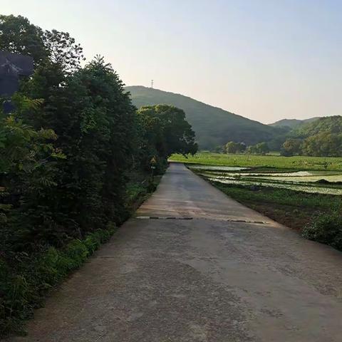 夕阳无限好，家访在路上(一)