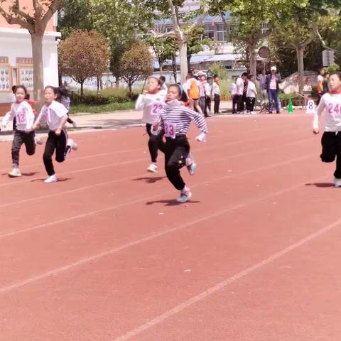 骄阳不改凌云志 侍岭学子展英姿——2023年侍岭中心学校“润豪杯”田径运动会