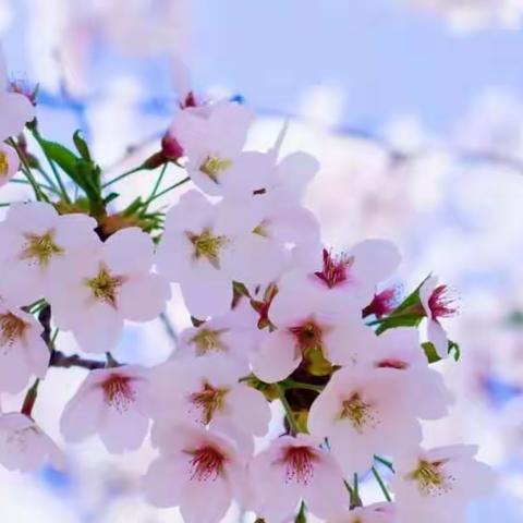 缓解职业倦怠  激发工作热情