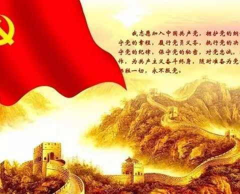 胡家坡村主题党日活动剪影 不忘初心强党性，牢记使命跟党走！