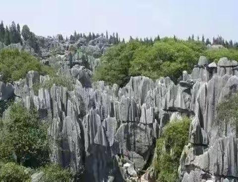 2021’千岛湖石林度假游