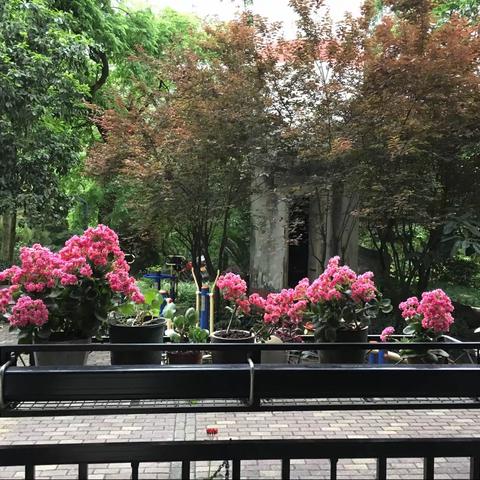 山上的日子（三）