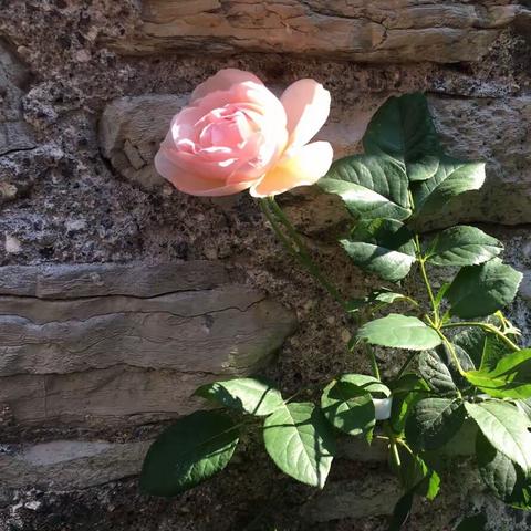 山上的日子（五）