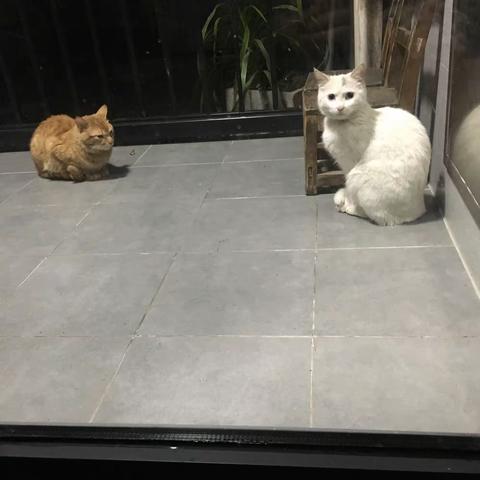 山上的日子（二）